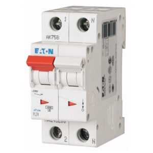 Interruttore Magnetotermico 2x10A C 4,5KA PLZ4-C16/1N-MW